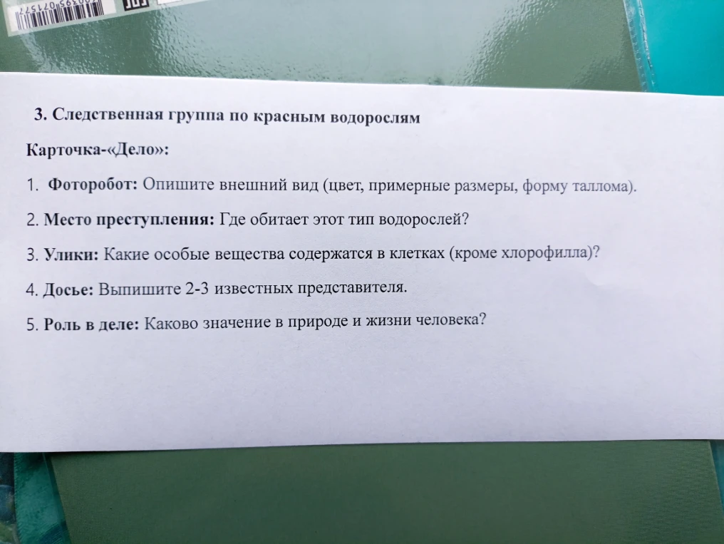 3. Следственная группа по красным водорослям