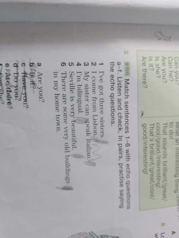 Match sentences 1–6 with echo questions a–f.