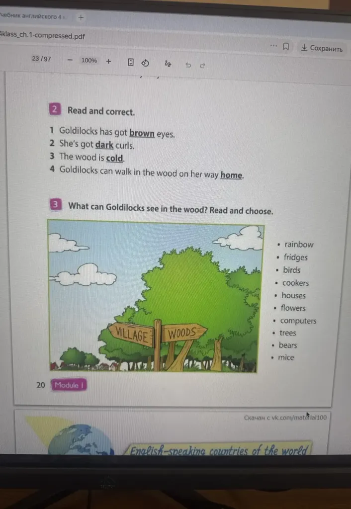 Read and correct. Goldilocks has got brown eyes.