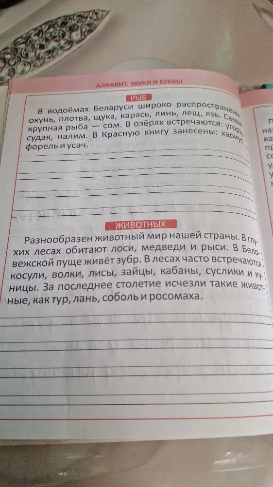 В водоёмах Беларуси широко распространены: окунь, плотва, щука, карась, линь, лещ, яз.
