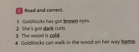Read and correct. 1 Goldilocks has got brown eyes. 2 She's got dark curls. 3 The wood is cold. 4 Goldilocks can walk in the wood on her way home.