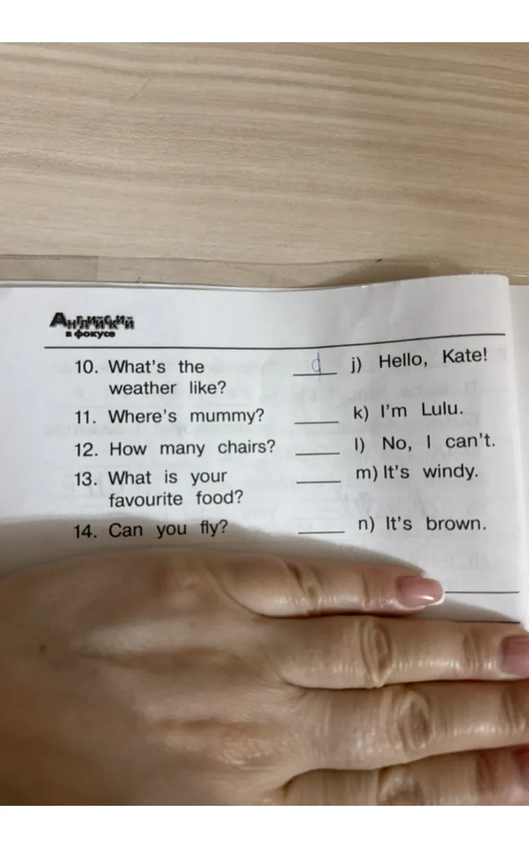 10. What's the weather like? ... 14. Can you fly?