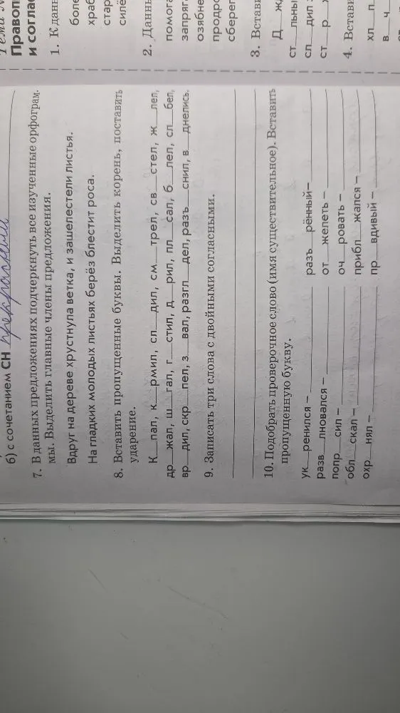 В данных предложениях подчеркнуть все изученные орфограммы. Выделить главные члены предложения. Вдруг на дереве хрустнула ветка...