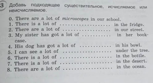Добавь подходящее существительное, исчисляемое или неисчисляемое.