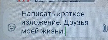 Написать краткое изложение. Друзья моей жизни.