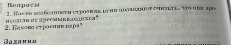 Какие особенности строения птиц позволяют считать, что они произошли от пресмыкающихся?