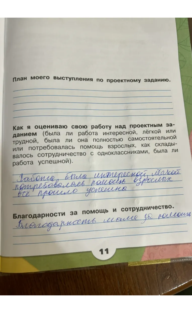 План моего выступления по проектному заданию.