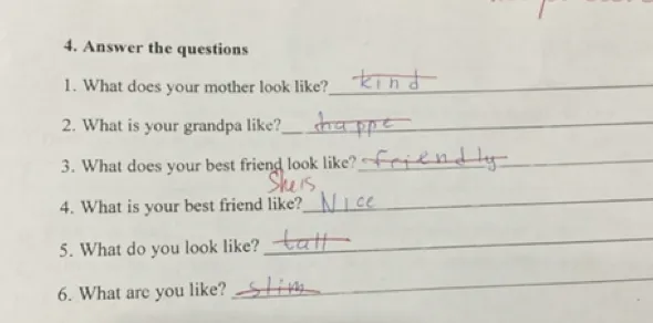 4. Answer the questions 1. What does your mother look like?