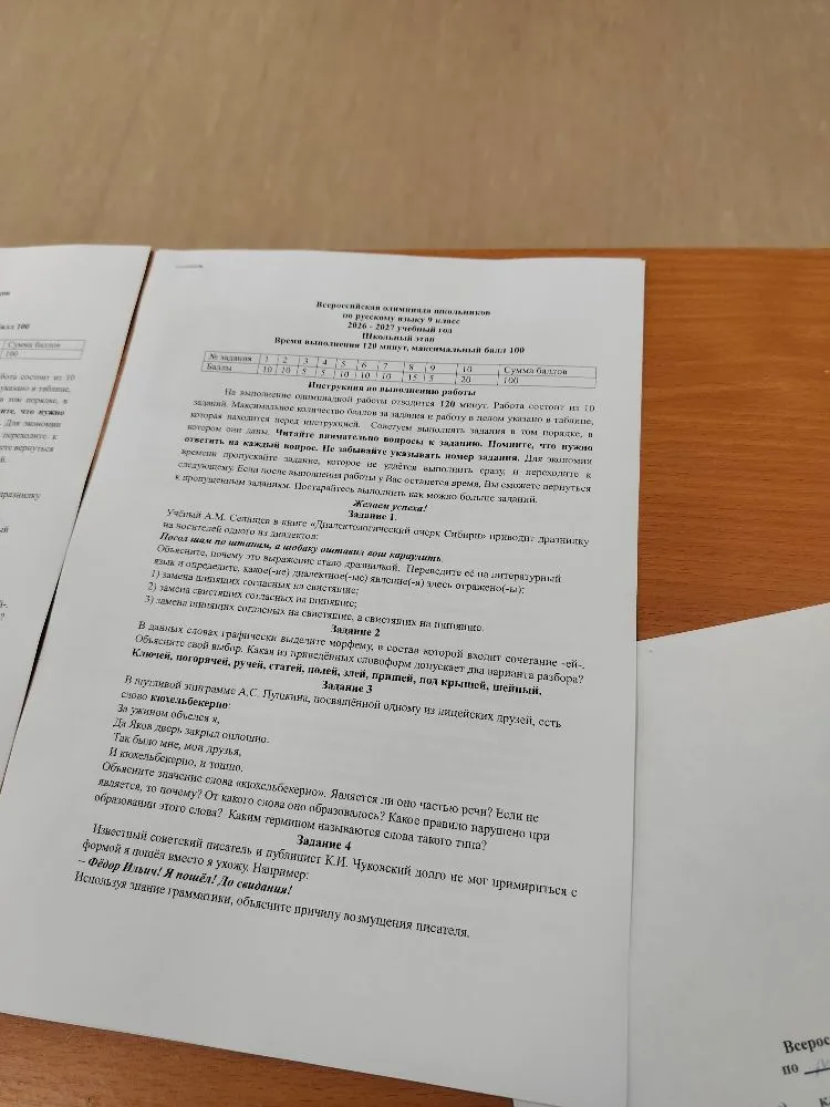 Учебные задания по русскому языку (олимпиада 9 класс): объяснение диалектной фразы, морфемный разбор слов с сочетанием -ей-, анализ окказионализма и грамматическая ошибка в употреблении видов глагола.
