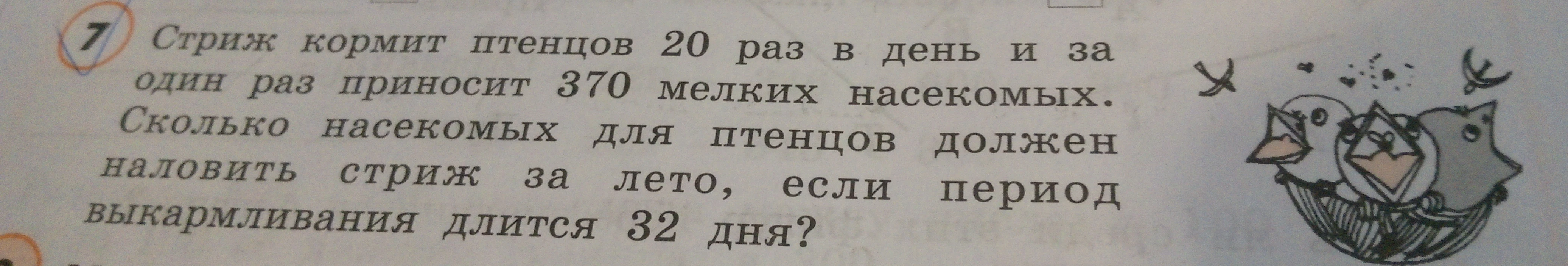 Стриж кормит птенцов 20 раз в день и за один раз приносит 370 мелких насекомых. Сколько насекомых для птенцов должен наловить стриж за лето, если период выкармливания длится 32 дня?
