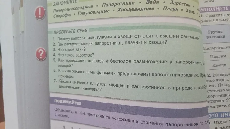 1. Почему папоротники, плауны и хвощи относят к высшим растениям?