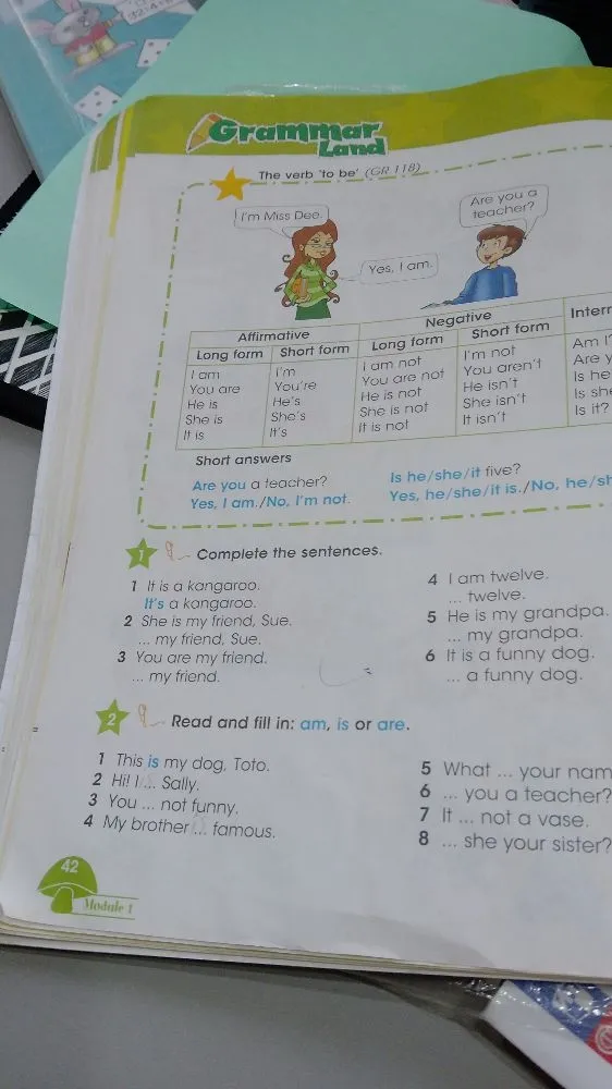 Complete the sentences.