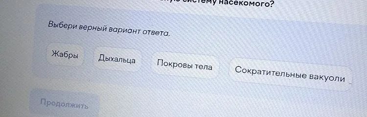 Выбери верный вариант ответа.