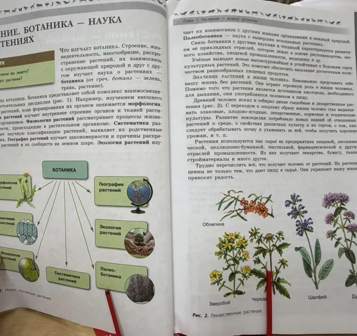 Заполни таблицу на основе текста учебника: какие науки о растениях существуют и что они изучают.