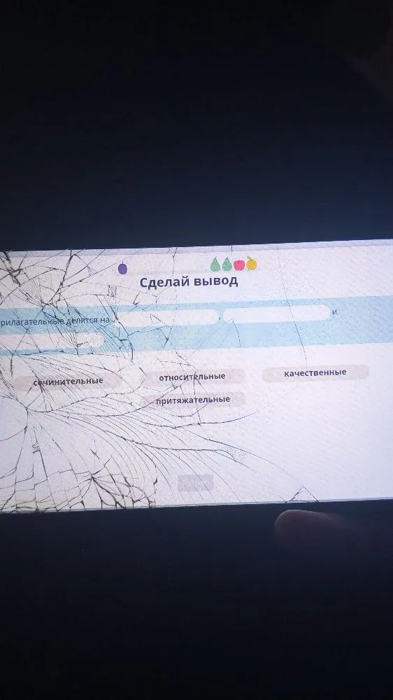 Сделай вывод. Прилагательные делятся на ... и ...