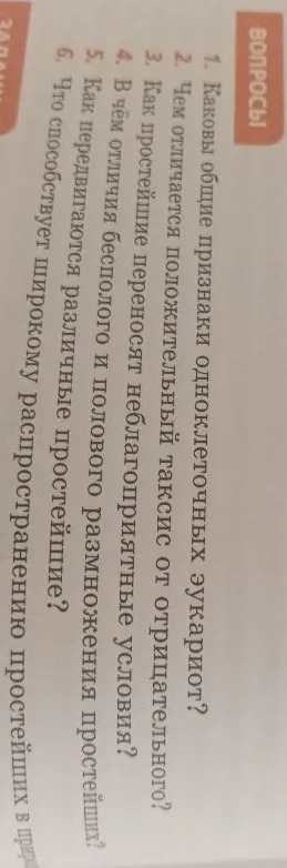 1. Каковы общие признаки одноклеточных эукариот?