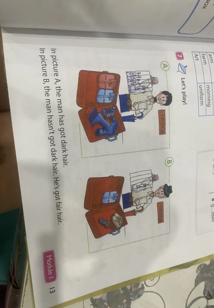 In picture A, the man has got dark hair. In picture B, the man hasn't got dark hair. He's got fair hair.