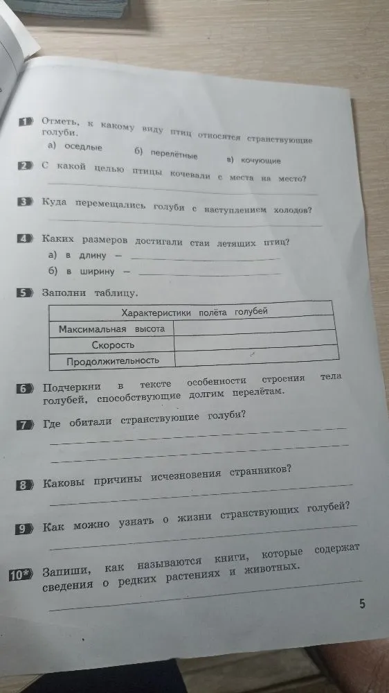 Отметь, к какому виду птиц относятся странствующие голуби.