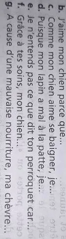 b. J'aime mon chien parce que...