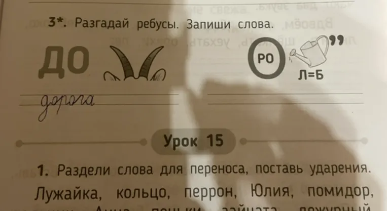 3*. Разгадай ребусы. Запиши слова.