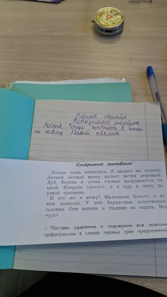 Поставь ударение и подчеркни все знакомые орфограммы в словах первых трёх предложений.