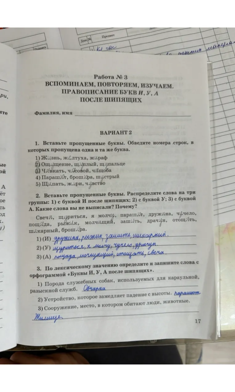 Работа № 3. ПРАВОПИСАНИЕ БУКВ И, У, А ПОСЛЕ ШИПЯЩИХ. Вставьте пропущенные буквы. Обведите номера строк, в которых пропущена одна и та же буква.