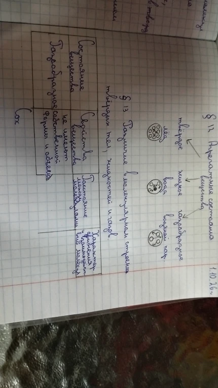 Доделать таблицу 7 класс