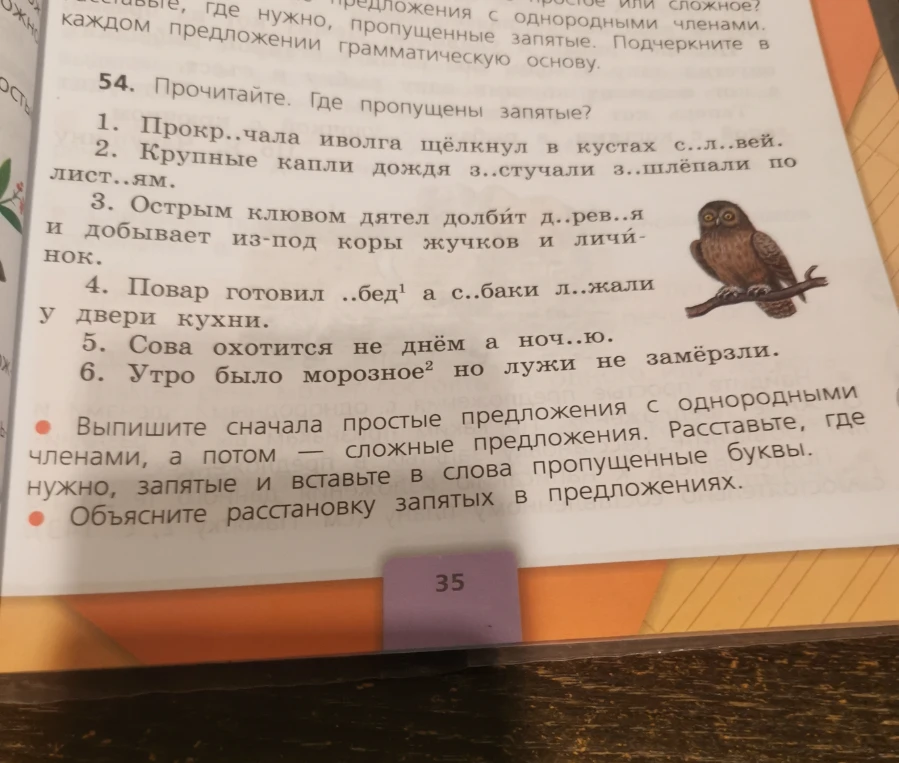 54. Прочитайте. Где пропущены запятые? Выпишите сначала простые предложения с однородными членами, а потом — сложные предложения. Расставьте, где нужно, запятые и вставьте в слова пропущенные буквы. Объясните расстановку запятых в предложениях.