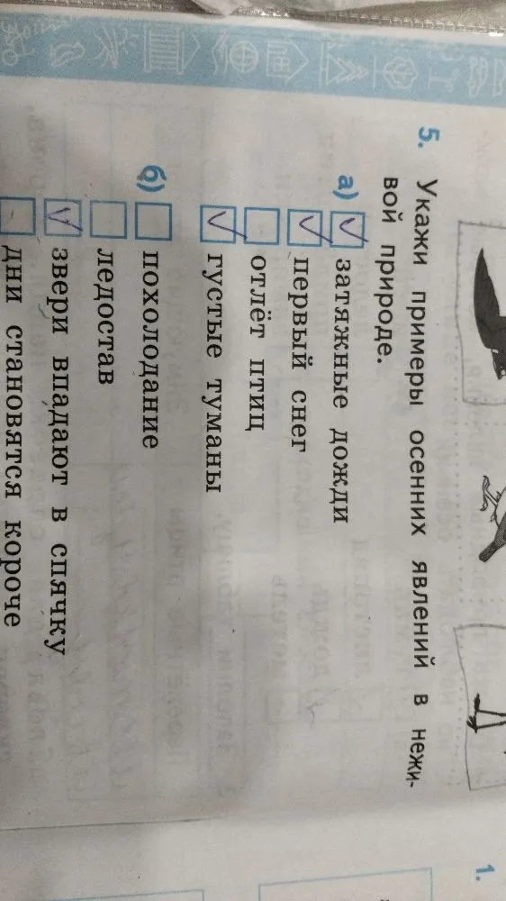 5. Укажи примеры осенних явлений в неживой природе.