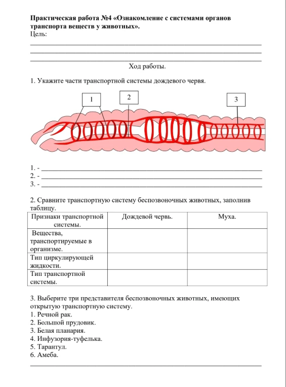 Практическая работа №4 «Ознакомление с системами органов транспорта веществ у животных».