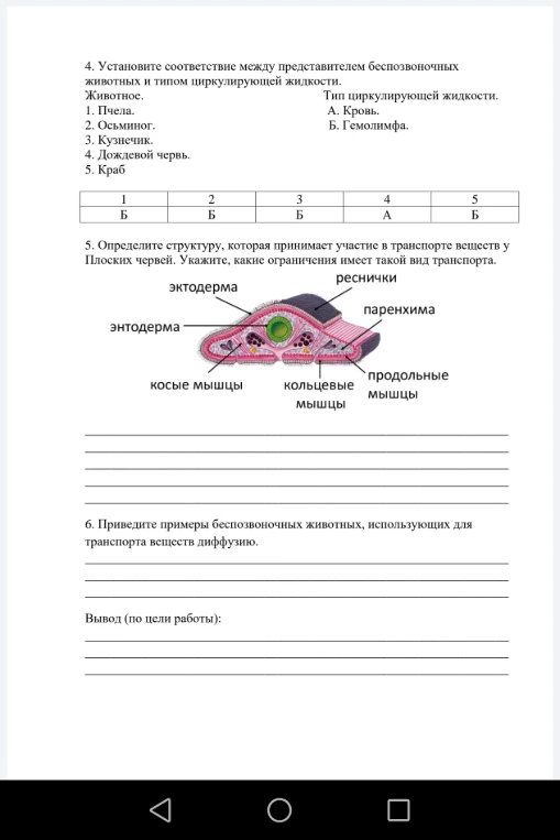 5. Определите структуру, которая принимает участие в транспорте веществ у Плоских червей. Укажите, какие ограничения имеет такой вид транспорта.