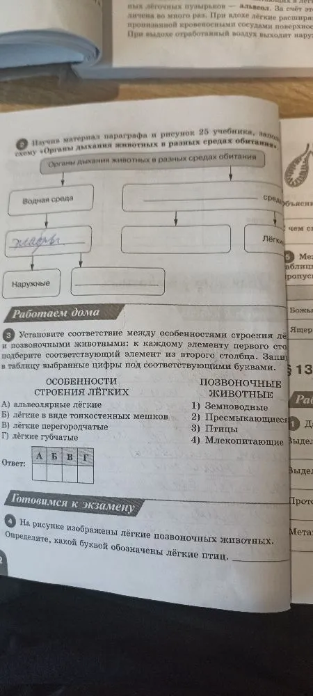 Установите соответствие между особенностями строения лёгких и позвоночными животными: к каждому элементу первого столбца подберите соответствующий элемент из второго столбца.