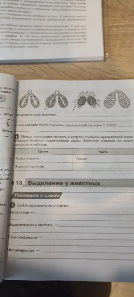 Установите соответствие между особенностями строения лёгких и позвоночными животными: к каждому элементу первого столбца подберите соответствующий элемент из второго столбца.