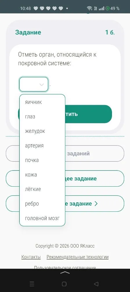Отметь орган, относящийся к покровной системе: