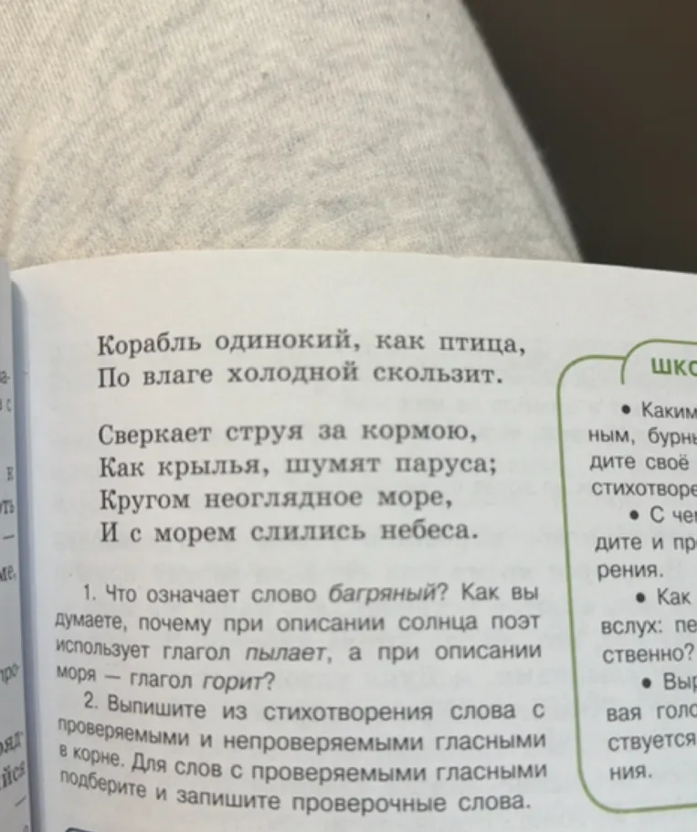 1. Что означает слово багряный? Как вы думаете, почему при описании солнца поэт использует глагол пылает, а при описании моря — глагол горит? 2. Выпишите из стихотворения слова с проверяемыми и непроверяемыми гласными в корне. Для слов с проверяемыми гласными подберите и запишите проверочные слова.