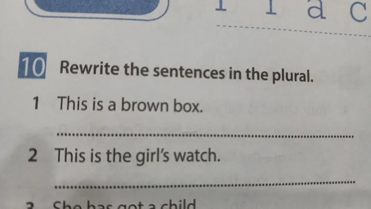 Rewrite the sentences in the plural.