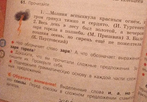 61. Прочитайте. 1. ...Молния вспыхнула красным огнём, и гром грянул тяжко и сердито. (И. Тургенев) 2. Весь день в лесу был золотой, а вечером заря горела в полнеба. (М. Пришвин) 3. Была поздняя осень, но сирень ещё не пожелтела. (К. Паустовский)