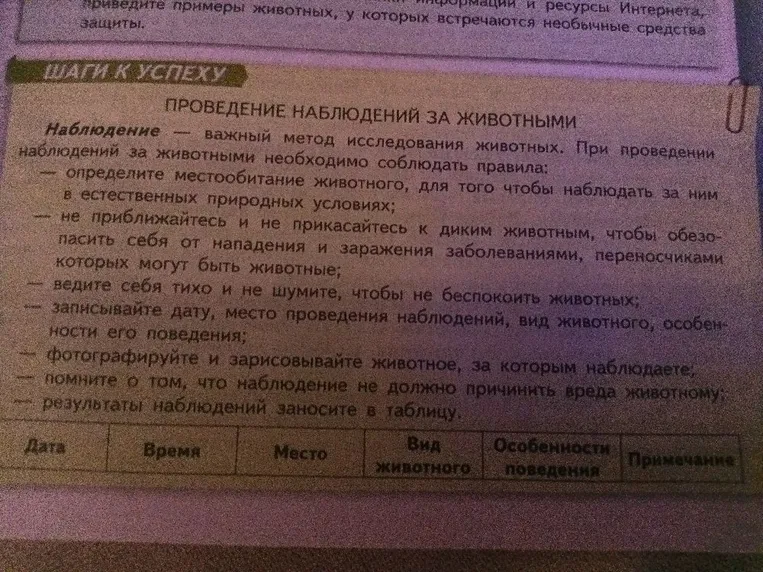 ШАГИ К УСПЕХУ ПРОВЕДЕНИЕ НАБЛЮДЕНИЙ ЗА ЖИВОТНЫМИ