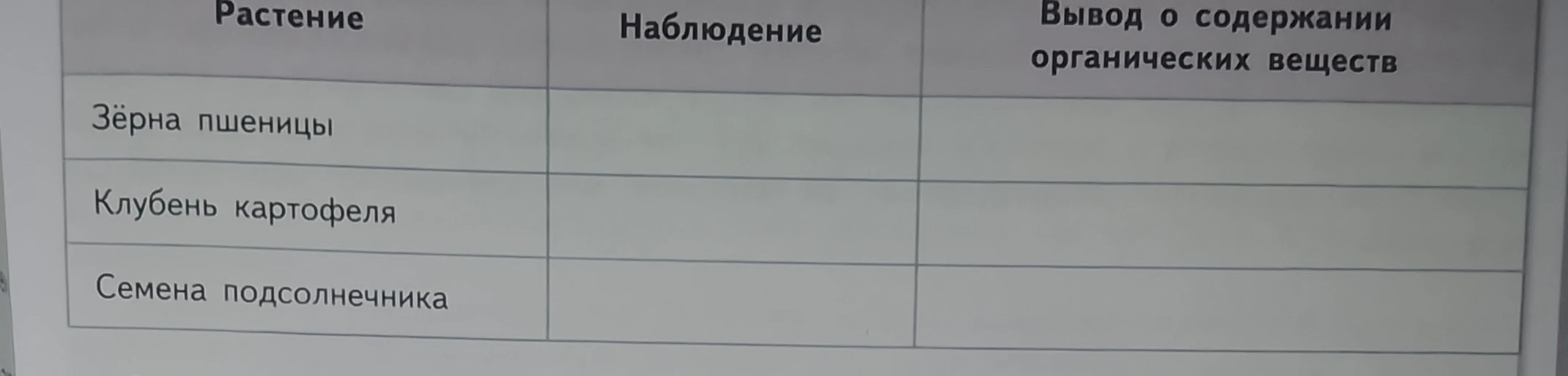 Растение, Наблюдение, Вывод о содержании органических веществ. Зёрна пшеницы, Клубень картофеля, Семена подсолнечника