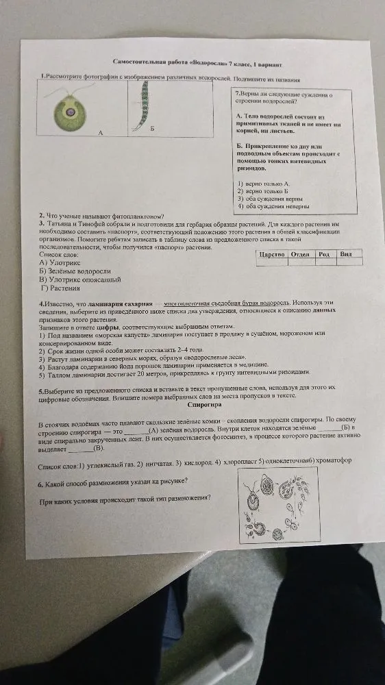 Самостоятельная работа «Водоросли» 7 класс, 1 вариант. 1.Рассмотрите фотографии с изображением различных водорослей. Подпишите их названия