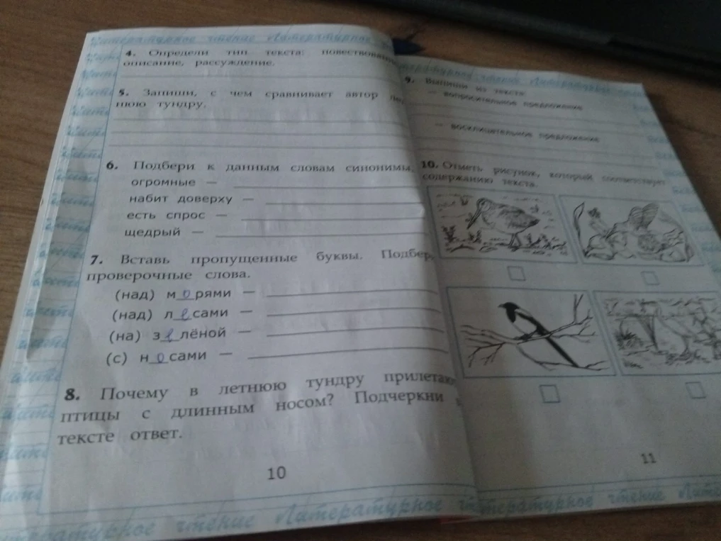 Подбери к данным словам синонимы. Вставь пропущенные буквы. Подбери проверочные слова. Почему в летнюю тундру прилетают птицы с длинным носом?