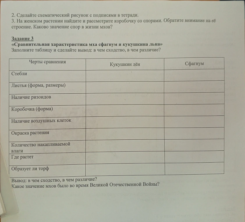 Сравнительная характеристика мха сфагнум и кукушкина льна
