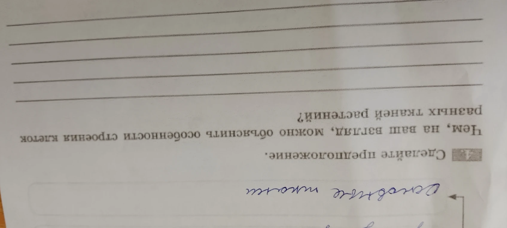 1. Сделайте предположение. Чем, на ваш взгляд, можно объяснить особенности строения клеток разных тканей растений?