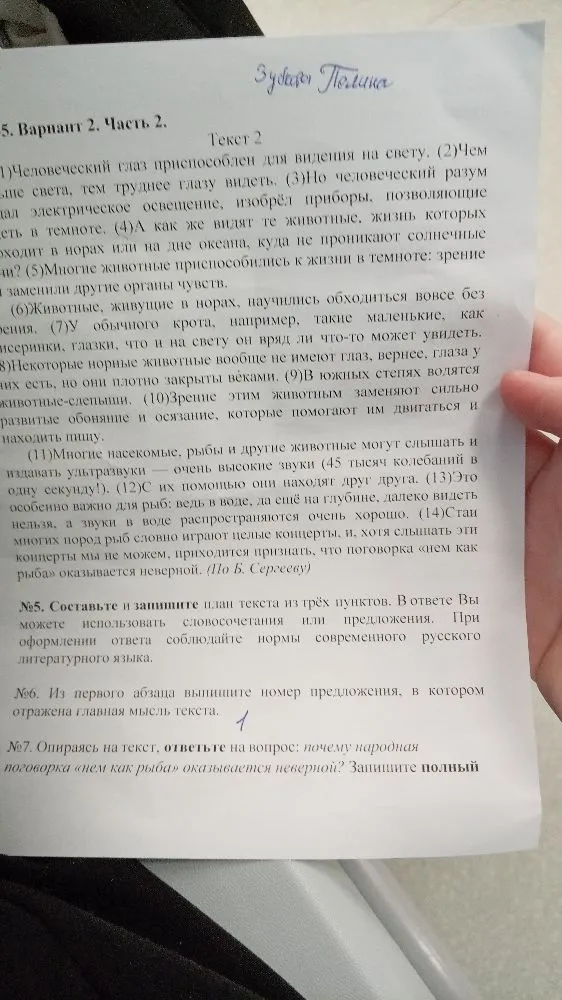 №5. Составьте и запишите план текста из трёх пунктов.
