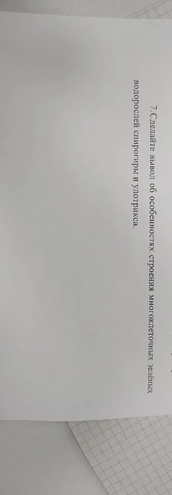 7. Сделайте вывод об особенностях строения многоклеточных зелёных водорослей спирогиры и улотрикса.