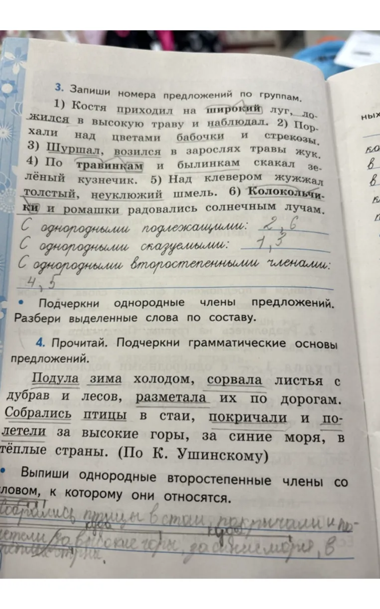 3. Запиши номера предложений по группам.