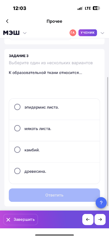 К образовательной ткани относится...