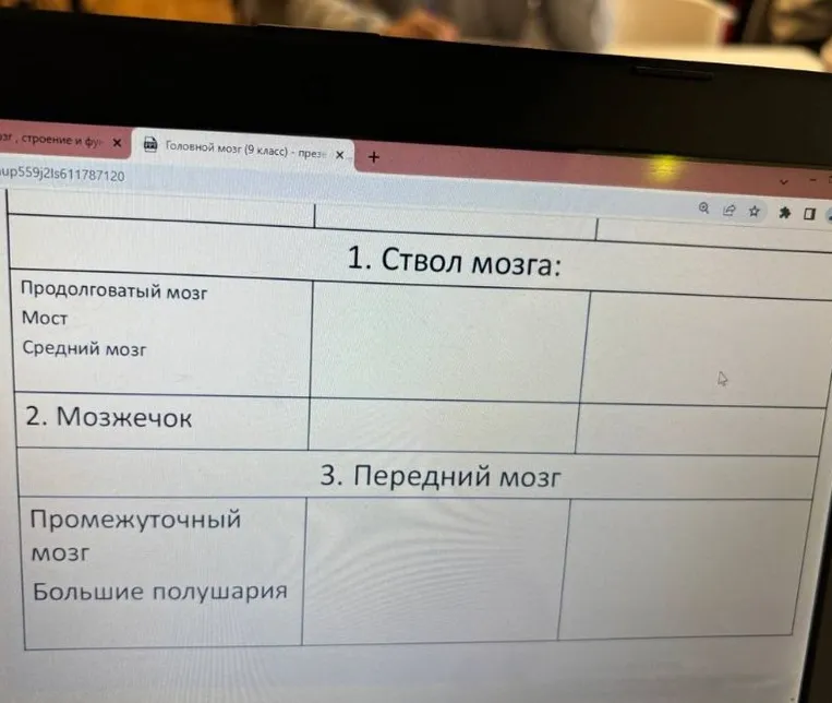 заполни таблицу