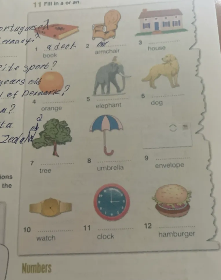 11 Fill in a or an.