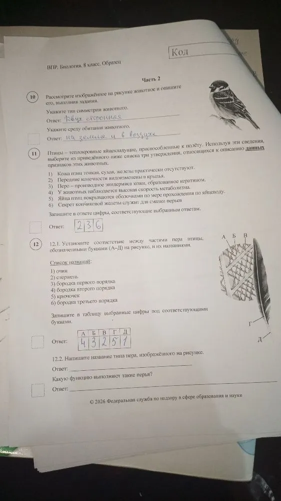 12.2. Напишите название типа пера, изображённого на рисунке. Какую функцию выполняют такие перья?